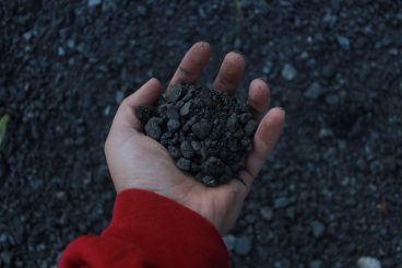 Stone Dust