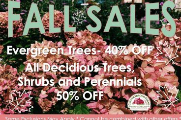 FALL SALES