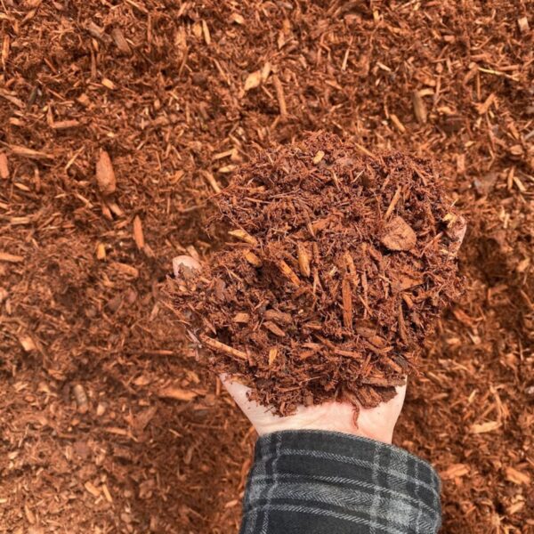 Mulch Bark Mulch Bark
