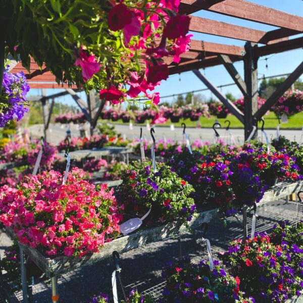 Nursery Nursery