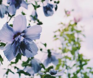 Processed with VSCO with c1 preset Processed with VSCO with c1 preset
